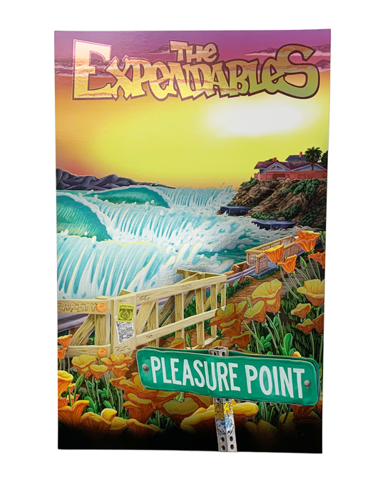 Pleasure Point Foil Poster