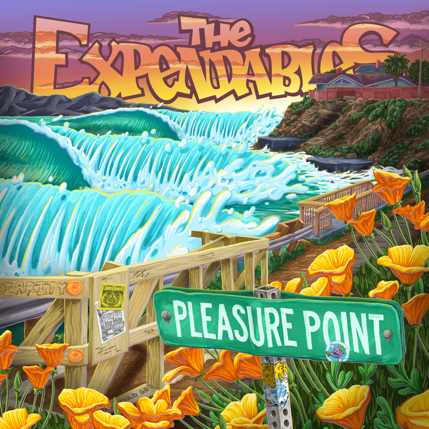 Pleasure Point Collection